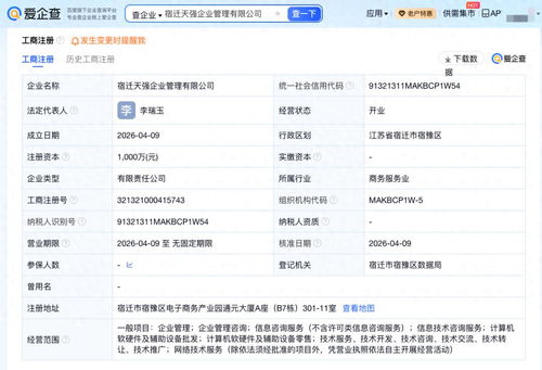 劉強東章澤天成立新公司“天強” 以技術咨詢引領數字化轉型